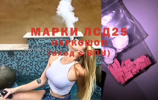 индика Богородицк