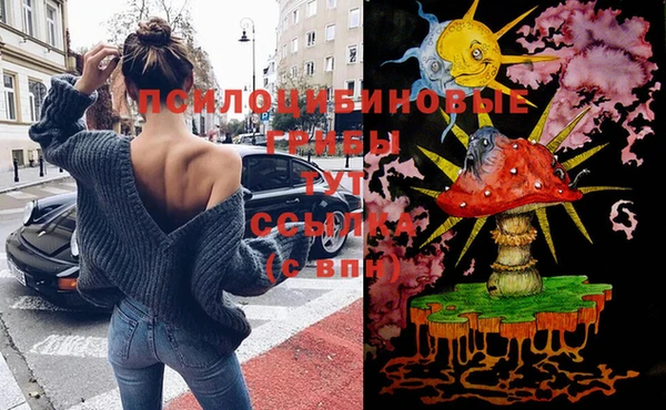 индика Богородицк