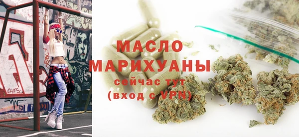 индика Богородицк