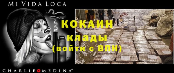 индика Богородицк