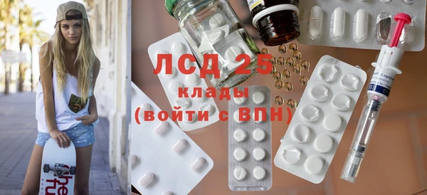 индика Богородицк