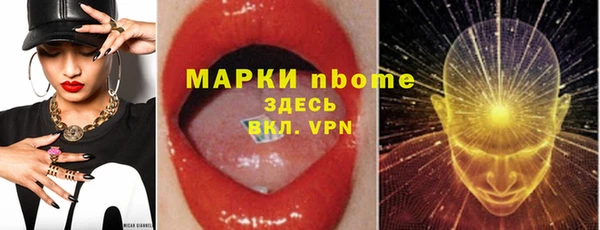 индика Богородицк