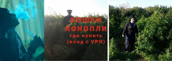 прущие грибы Богородск