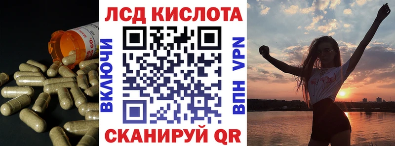 даркнет сайт  Богородск  LSD-25 экстази кислота 