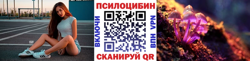 Псилоцибиновые грибы мицелий  Богородск 